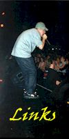 Links.jpg (5477 bytes)